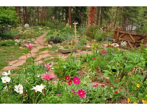 3137 Meadow View Rd, Evergreen, CO 80439