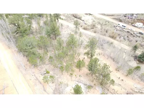 381 Neish St, Bailey, CO 80421 photo 23