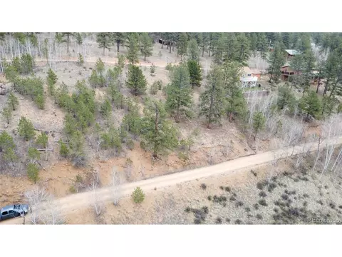 381 Neish St, Bailey, CO 80421 photo 17