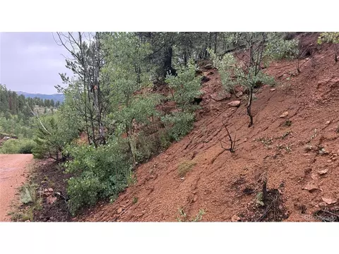381 Neish St, Bailey, CO 80421 photo 9