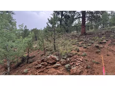 381 Neish St, Bailey, CO 80421 photo 5