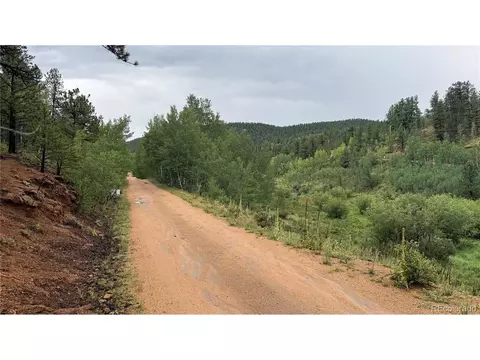 381 Neish St, Bailey, CO 80421 photo 7