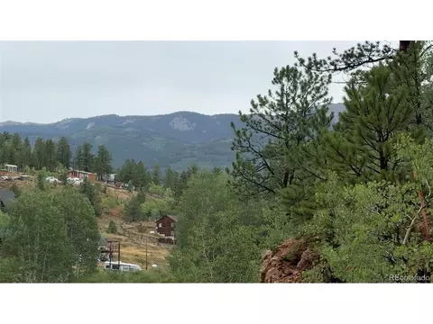 381 Neish St, Bailey, CO 80421 photo 13