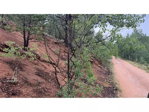 381 Neish St, Bailey, CO 80421 photo 6