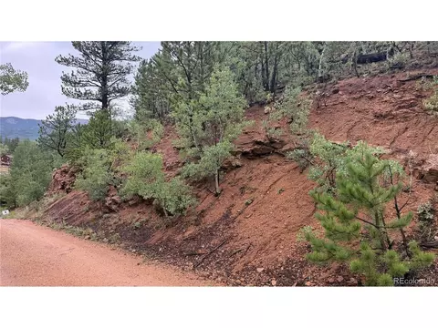 381 Neish St, Bailey, CO 80421 photo 10