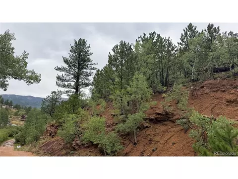 381 Neish St, Bailey, CO 80421 photo 12