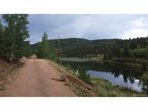 381 Neish St, Bailey, CO 80421 photo 8