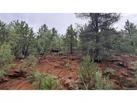 381 Neish St, Bailey, CO 80421 photo 11