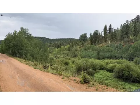 381 Neish St, Bailey, CO 80421 photo 14