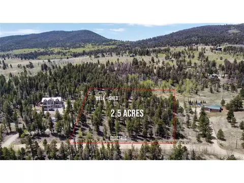 1667 Singletree Rd, Hartsel, CO 80449
