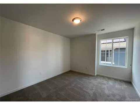 5589 Runge Rd, Timnath, CO 80547 photo 4