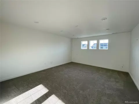 5589 Runge Rd, Timnath, CO 80547 photo 8