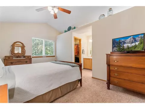 9728 Teller Ln, Westminster, CO 80021 photo 22