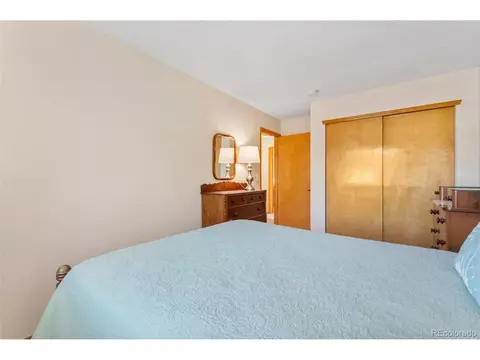 9728 Teller Ln, Westminster, CO 80021 photo 30