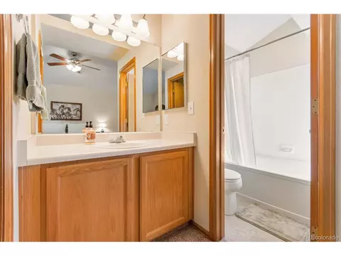 9728 Teller Ln, Westminster, CO 80021 photo 25