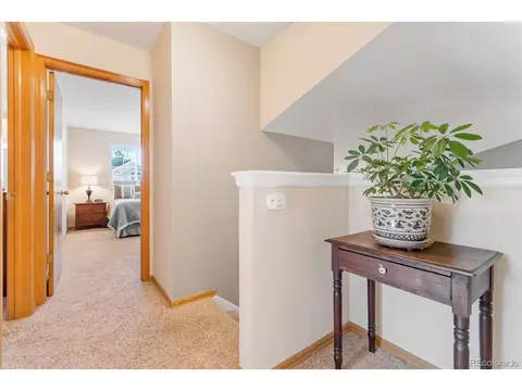 9728 Teller Ln, Westminster, CO 80021 photo 21