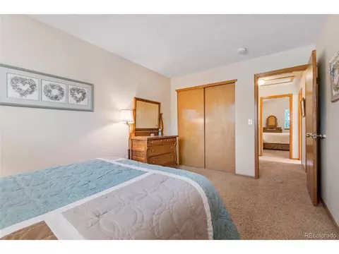 9728 Teller Ln, Westminster, CO 80021 photo 28