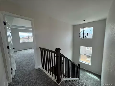 6992 E 126th Ave, Thornton, CO 80602 photo 13