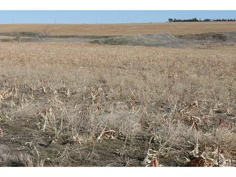 2 Converse Rd, Bennett, CO 80102 photo 6
