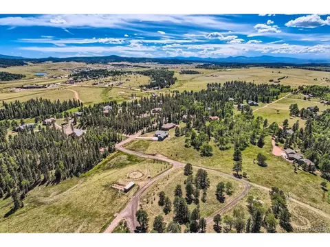 303 Pinaceae Hts, Divide, CO 80814