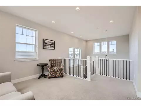 10302 E 63rd Ave, Denver, CO 80238 photo 27