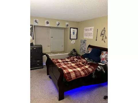 14972 E 45th Ave, Denver, CO 80239 photo 15