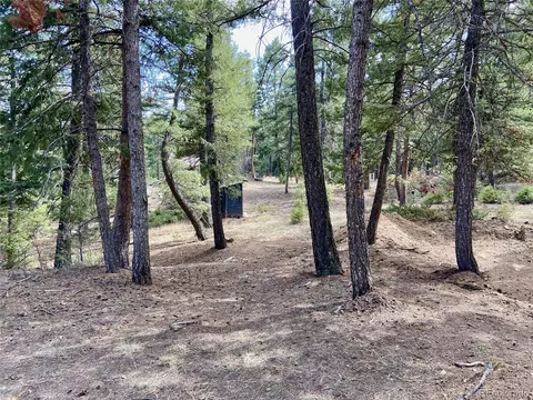 8479 S Doubleheader Ranch Rd, Morrison, CO 80465 photo 26