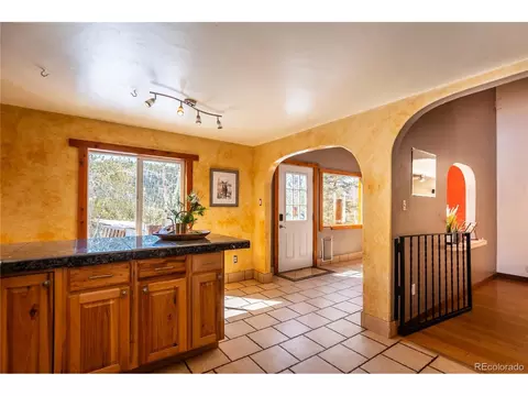 252 Jones Rd, Bailey, CO 80421 photo 7