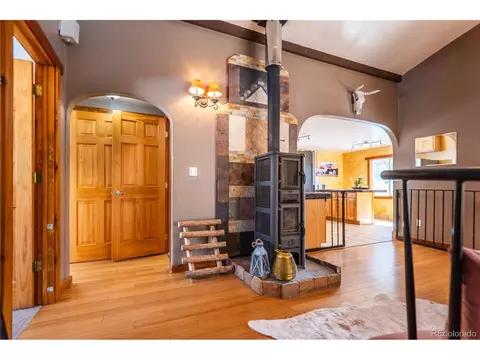 252 Jones Rd, Bailey, CO 80421 photo 10