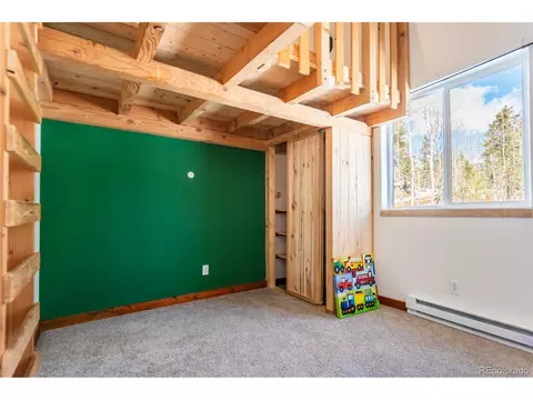 252 Jones Rd, Bailey, CO 80421 photo 11