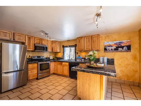 252 Jones Rd, Bailey, CO 80421 photo 5