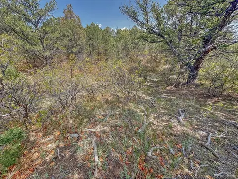 34 Corral, Cotopaxi, CO 81223 photo 32
