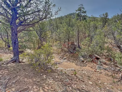 34 Corral, Cotopaxi, CO 81223 photo 13
