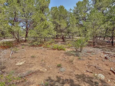 34 Corral, Cotopaxi, CO 81223 photo 21