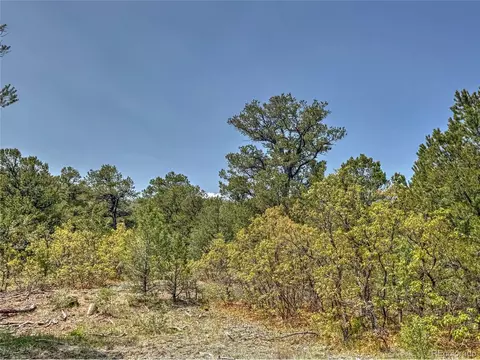34 Corral, Cotopaxi, CO 81223 photo 10
