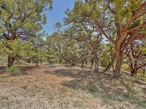 34 Corral, Cotopaxi, CO 81223 photo 6
