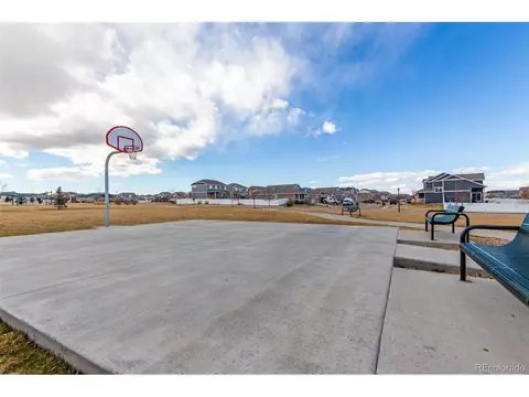 832 Mt Sneffels Ave, Windsor, CO 80550 photo 21