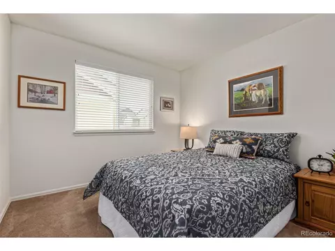 832 Mt Sneffels Ave, Windsor, CO 80550 photo 13