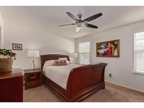 832 Mt Sneffels Ave, Windsor, CO 80550 photo 10