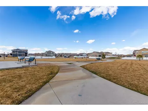 832 Mt Sneffels Ave, Windsor, CO 80550 photo 20
