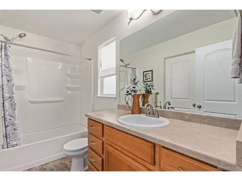 832 Mt Sneffels Ave, Windsor, CO 80550 photo 11