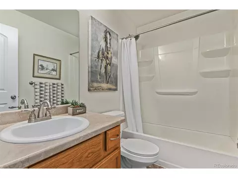 832 Mt Sneffels Ave, Windsor, CO 80550 photo 14