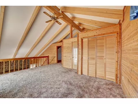 305 S Ridge Rd, Bailey, CO 80421 photo 22