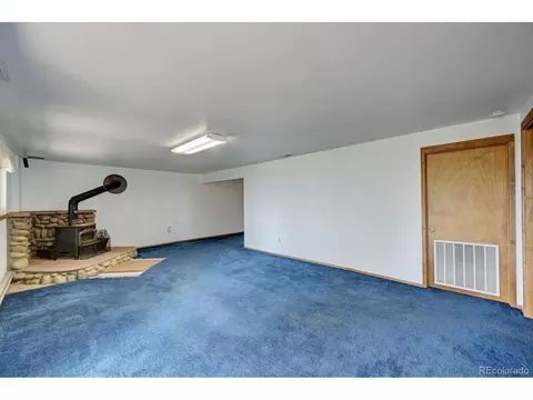 305 S Ridge Rd, Bailey, CO 80421 photo 34