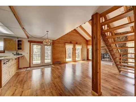 305 S Ridge Rd, Bailey, CO 80421 photo 14