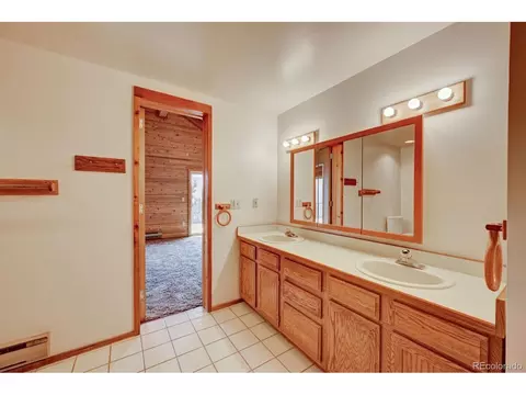305 S Ridge Rd, Bailey, CO 80421 photo 20