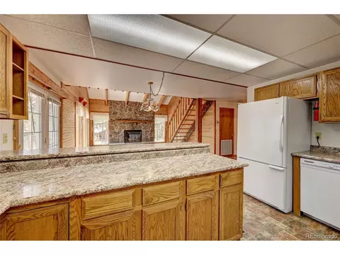 305 S Ridge Rd, Bailey, CO 80421 photo 18