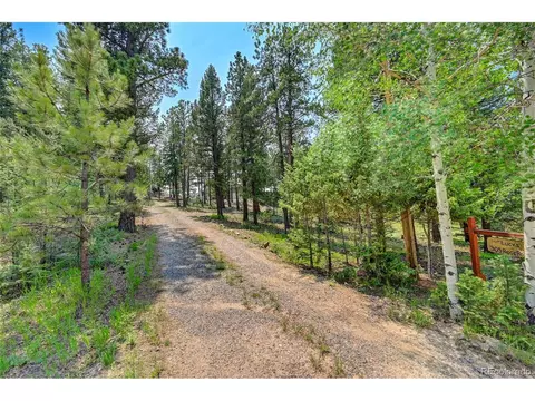 305 S Ridge Rd, Bailey, CO 80421 photo 10