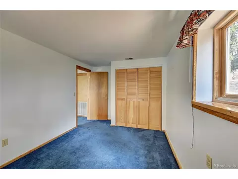 305 S Ridge Rd, Bailey, CO 80421 photo 31