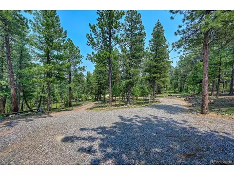 305 S Ridge Rd, Bailey, CO 80421 photo 36